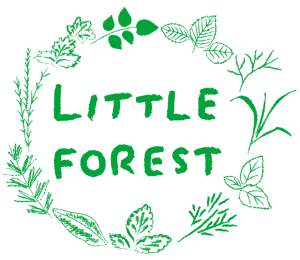 LITTLE FOREST