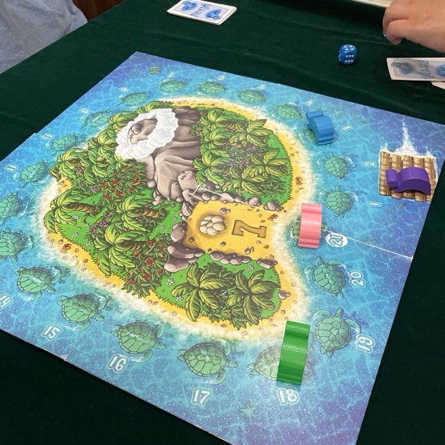 ウミガメの島、ボードゲーム